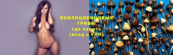 каннабис Новозыбков