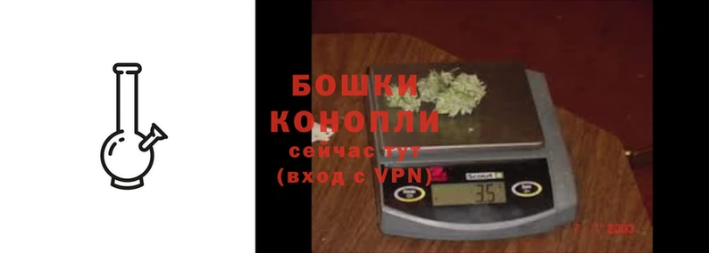 каннабис Новозыбков