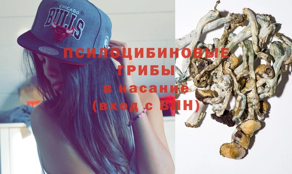 эйфоретик Новокубанск