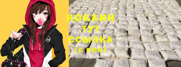 эйфоретик Новокубанск