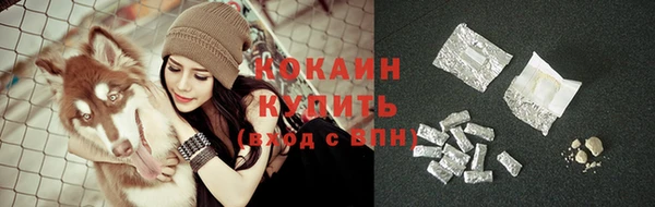 каннабис Новозыбков