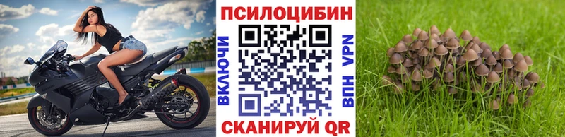 hydra ССЫЛКА  Куртамыш  Псилоцибиновые грибы MAGIC MUSHROOMS 